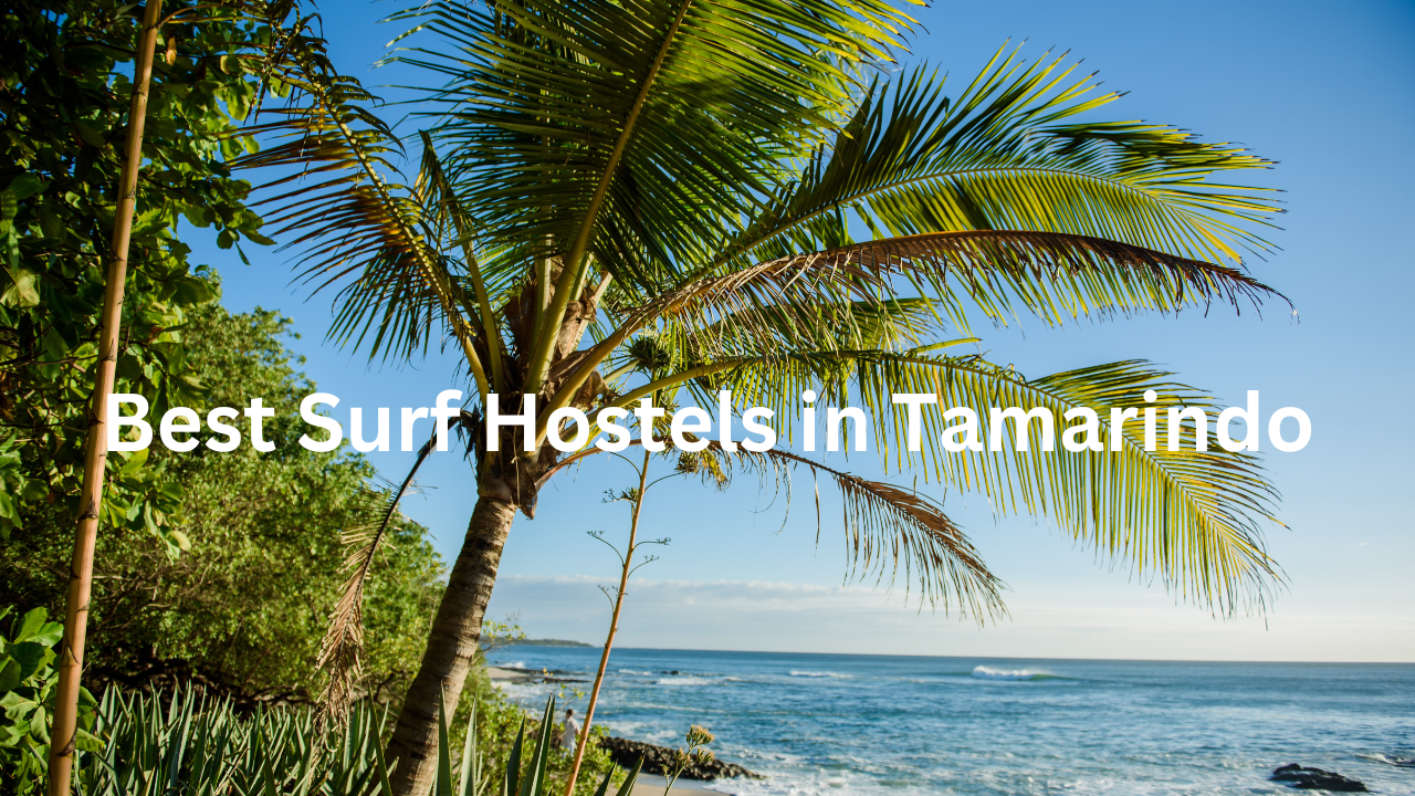 Best surf hostels Tamarindo