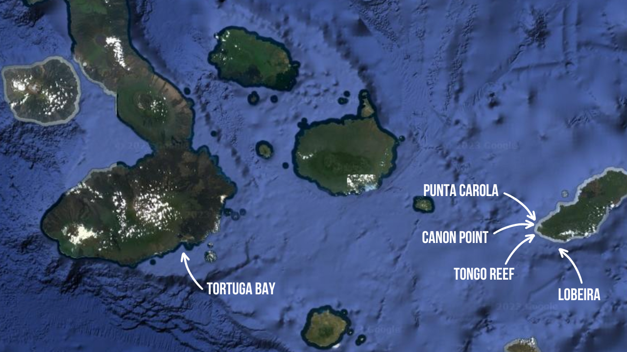 Galapagos Surf spot map