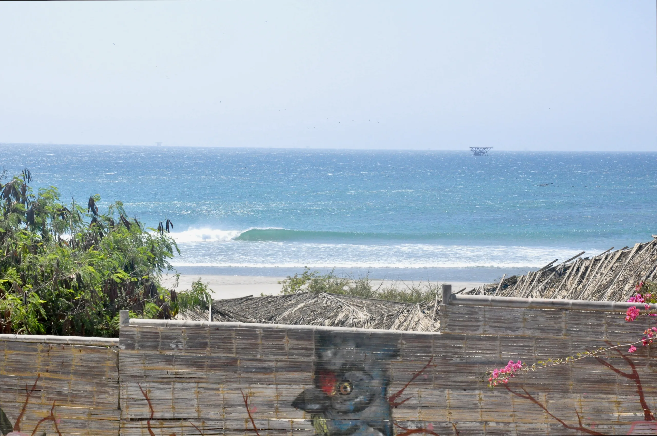 Lobitos Surf Line-up