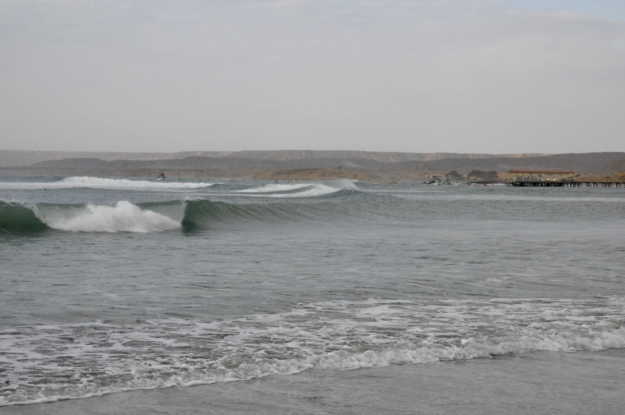 Surfing Lobitos