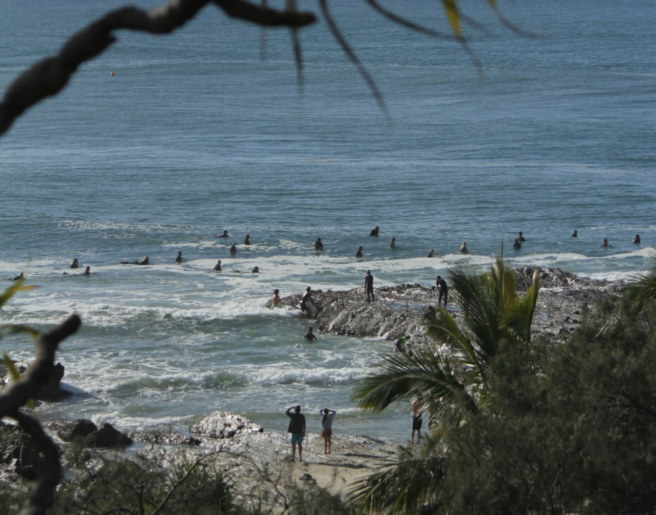 Gold Coast Surf (Crowd)