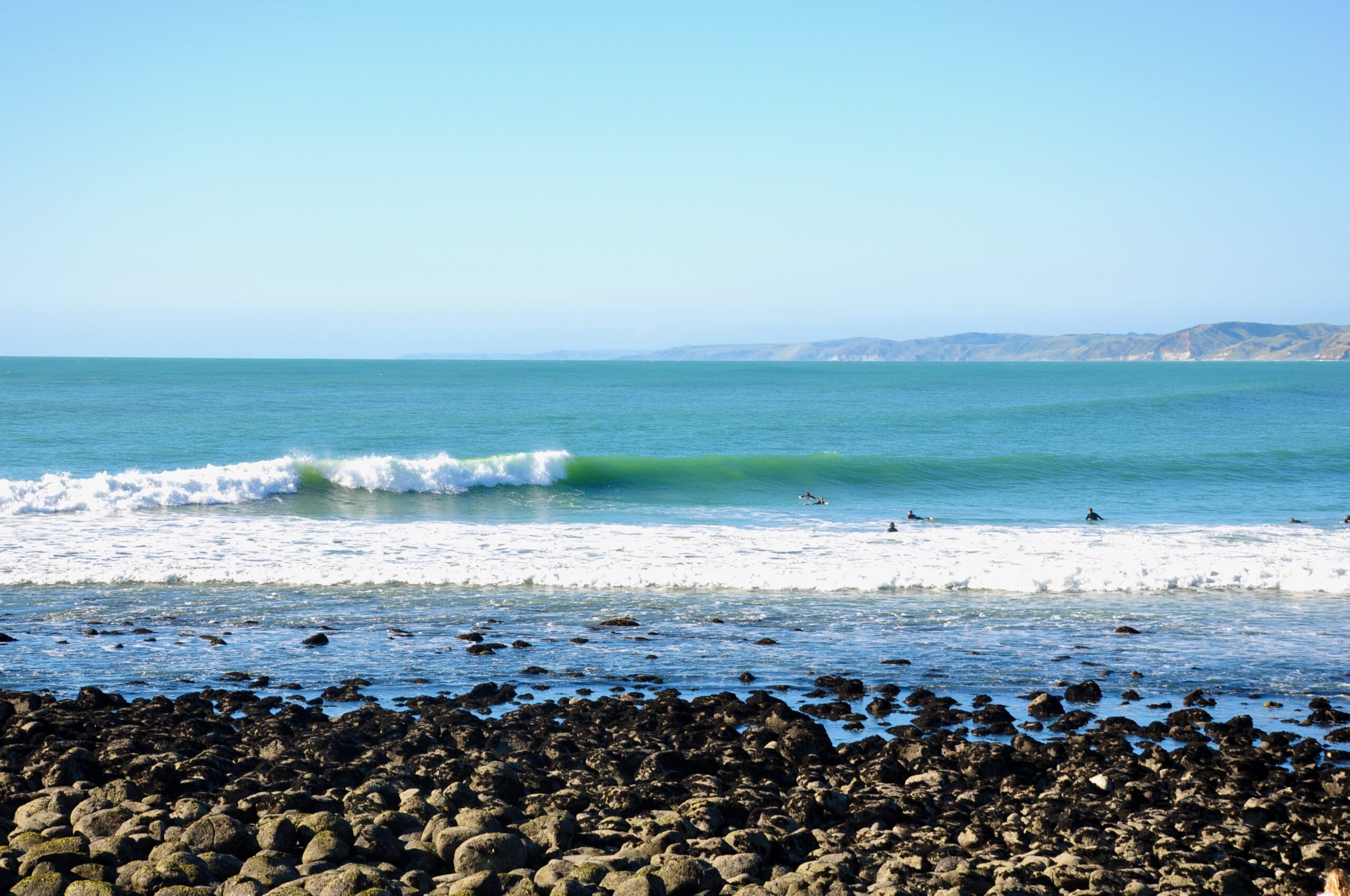 Manu (Surfing in New Zealand)