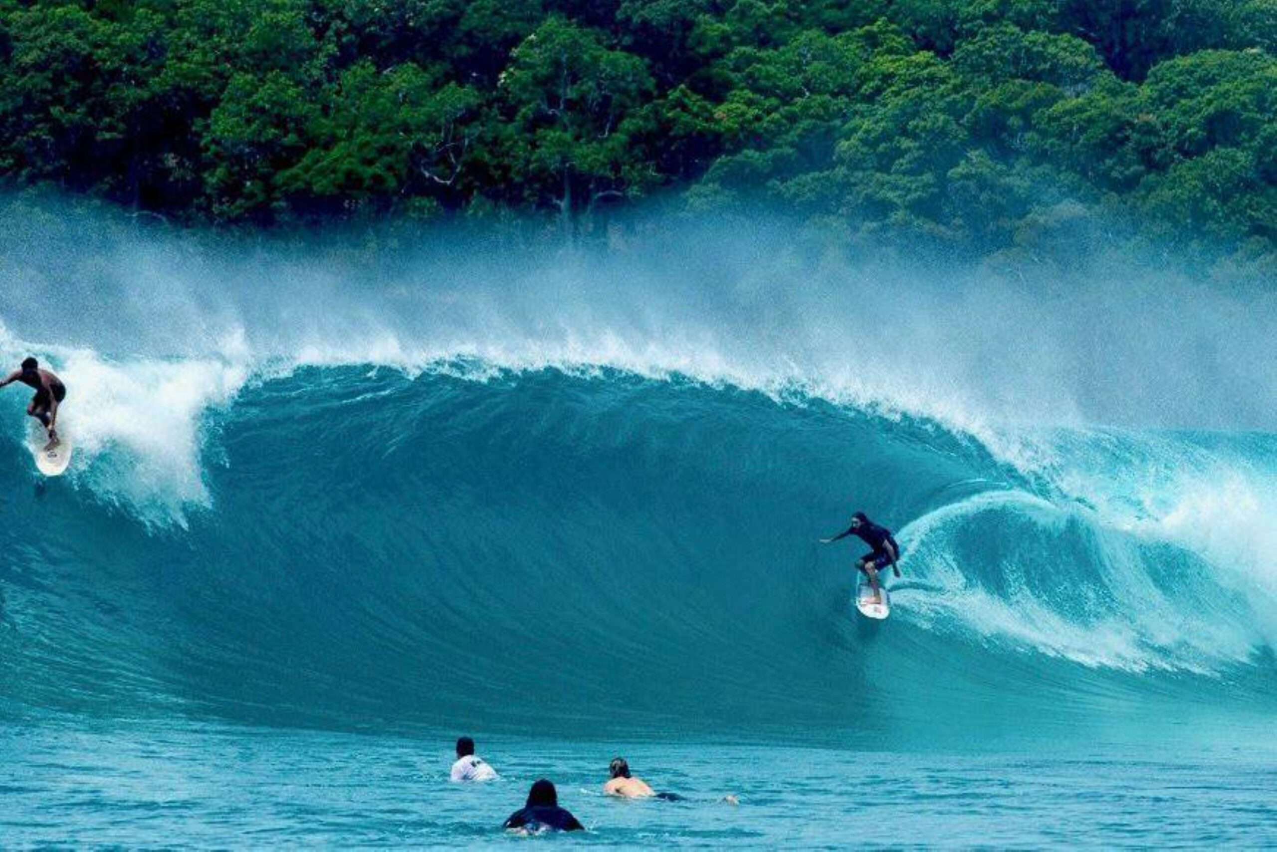 Pumping Surf in Noosa